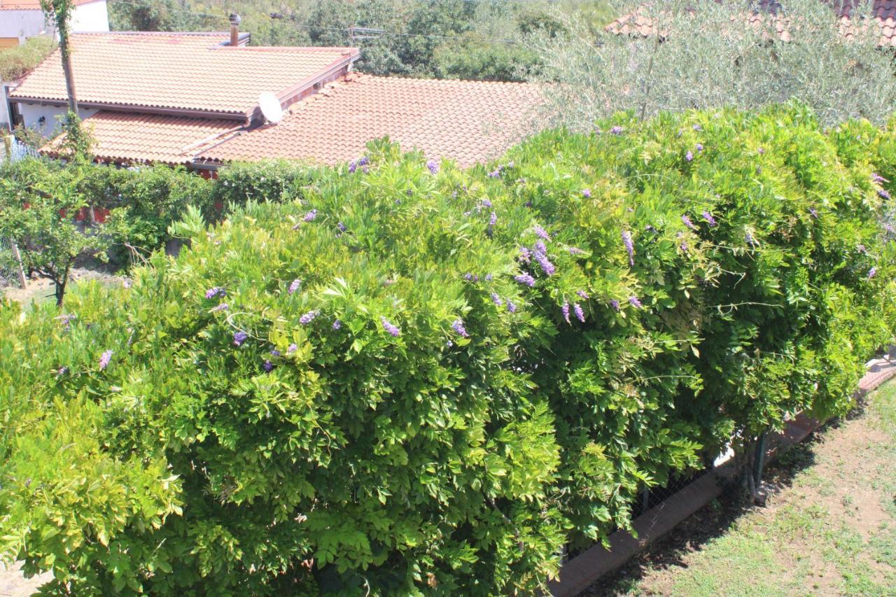 Villa Sicilia Apartment Catânia Exterior foto